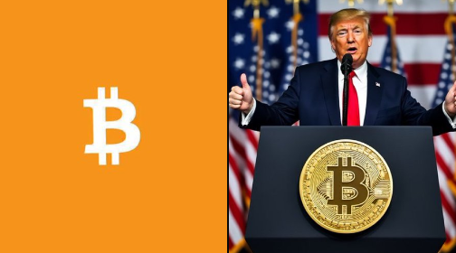 Politics: Donald Trump Proposes Crypto Advisory&nbsp;Council