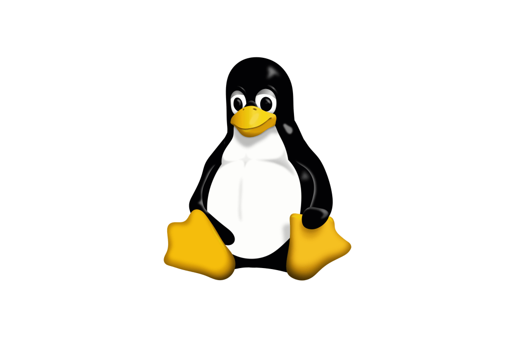 The Linux Kernel