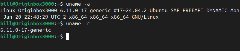 Command #11 – uname (Linux&nbsp;OS)