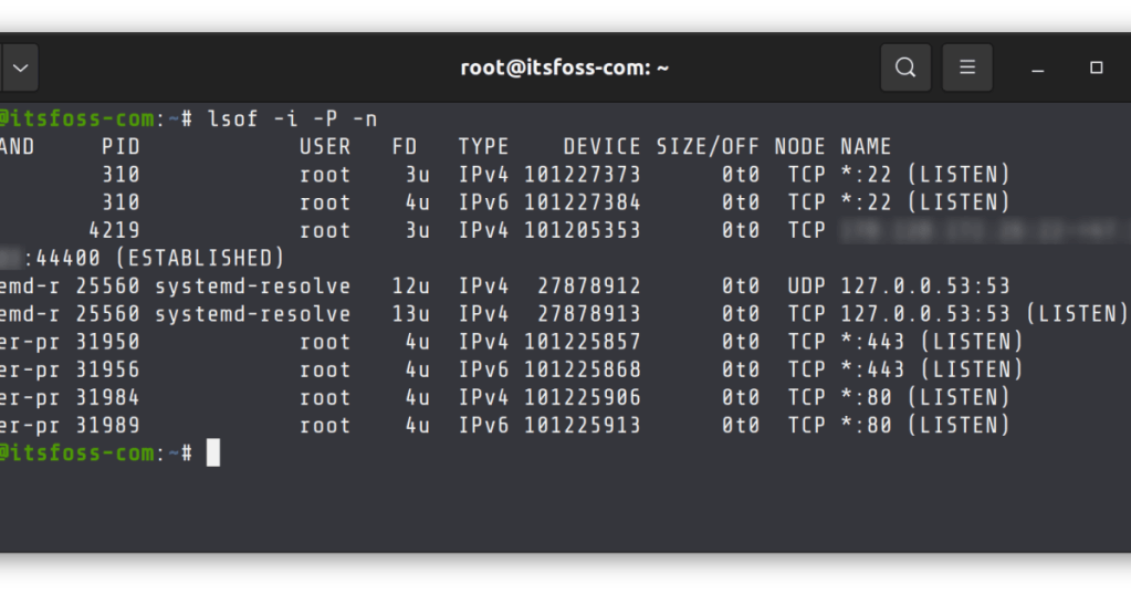 Linux terminal showing lsof output with FD values for TCP and UDP sockets.