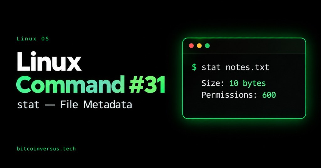 Linux Command #31: stat inspects a file’s size and permissions in a minimal neon-green terminal.