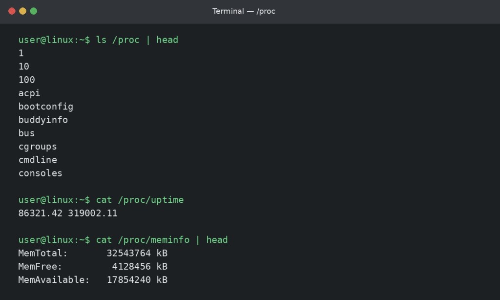 Linux terminal example showing the contents of /proc plus /proc/uptime and /proc/meminfo.