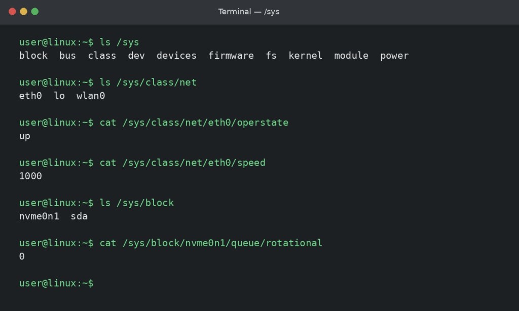 Linux terminal showing /sys, network state, link speed, and block device information.