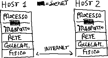 Diagram showing the role of a network socket between application-level software and the transport/network stack.