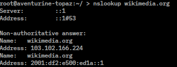 Linux terminal screenshot showing an nslookup DNS query and returned address records