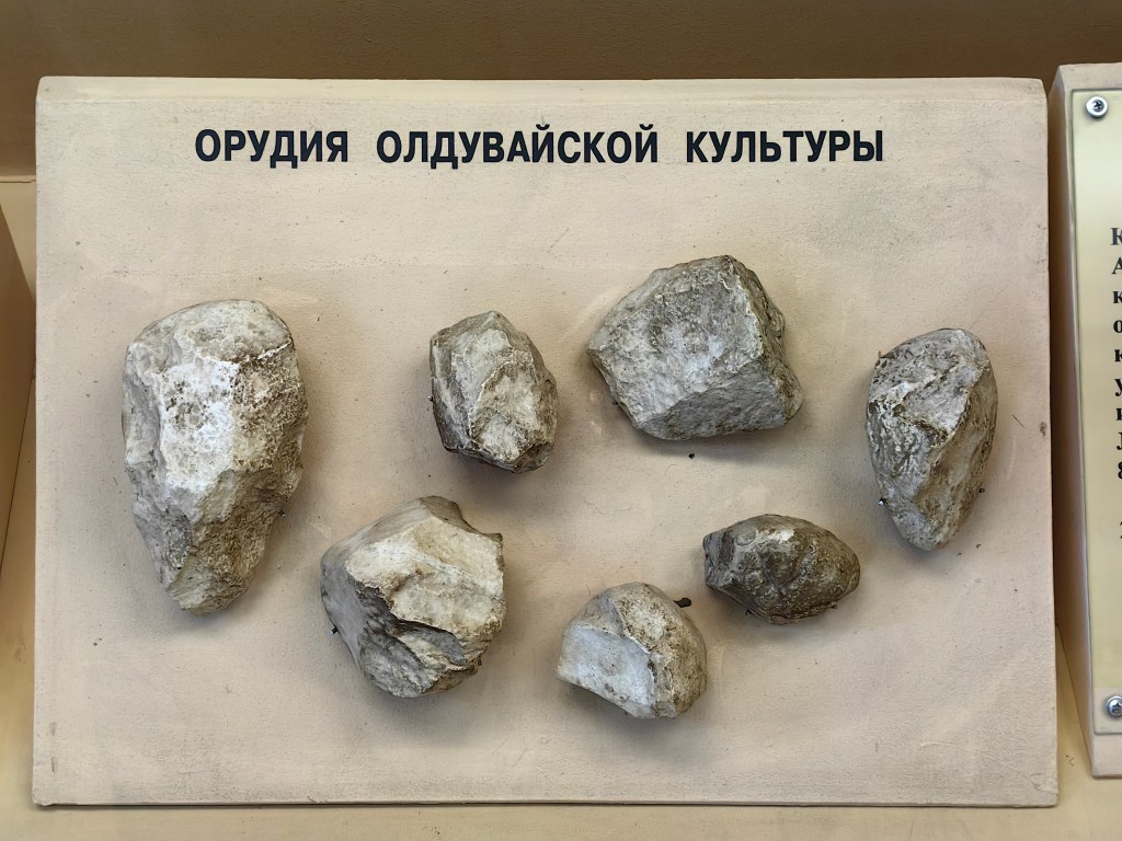 Museum display of Oldowan cores and flakes, an example of early engineered stone tools.