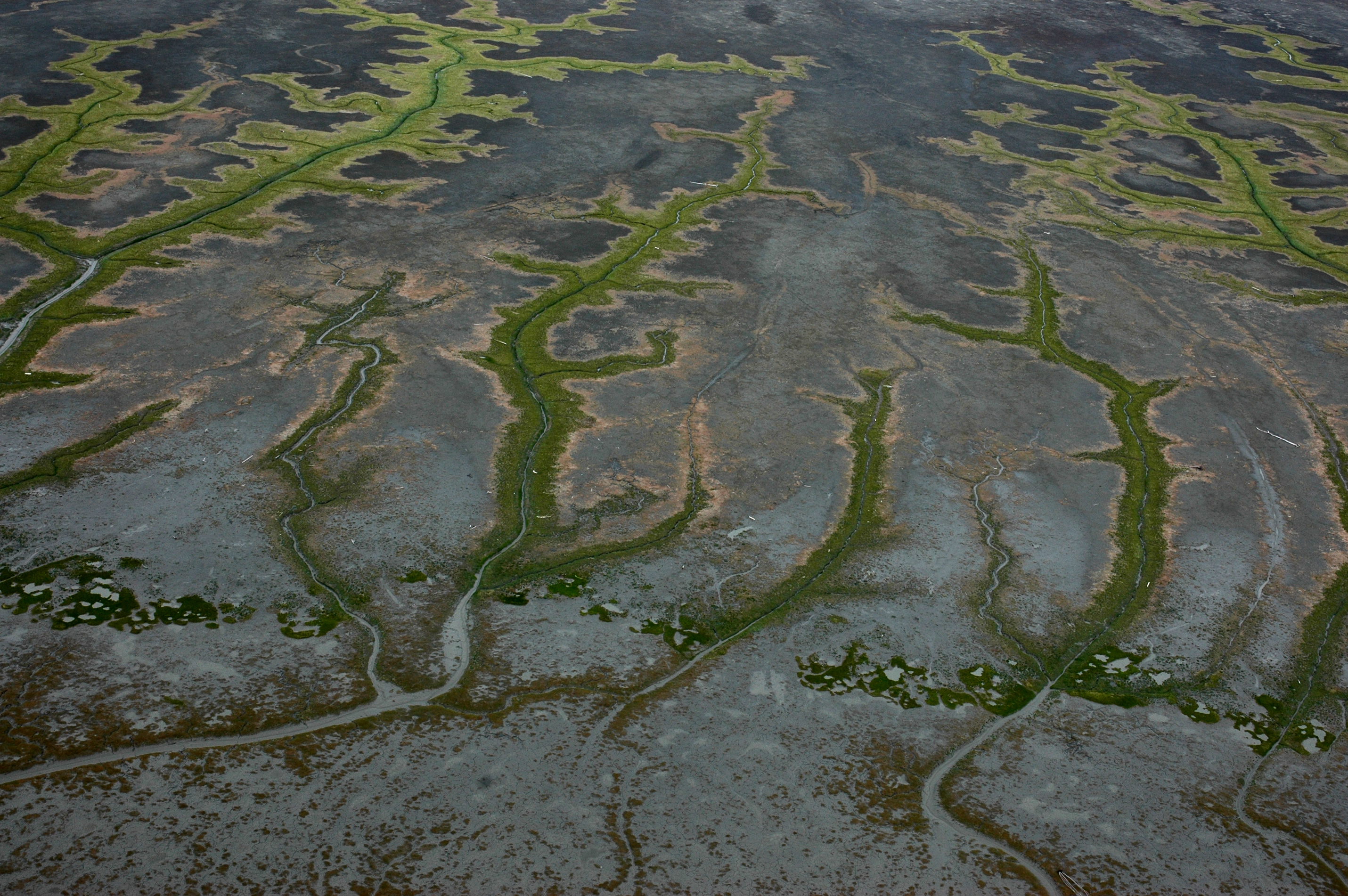 U.S. Fish and Wildlife Service aerial photograph of Cook Inlet tidal flats, illustrating the region's marine environment