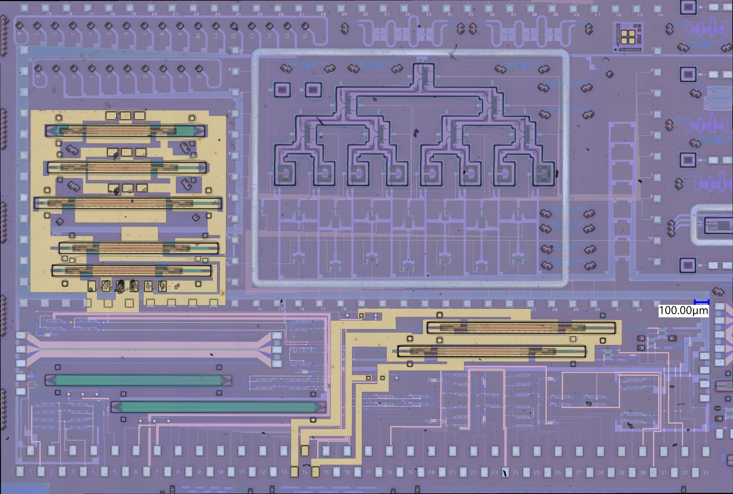False-color micrograph of an integrated silicon photonics die with dense waveguide structures.