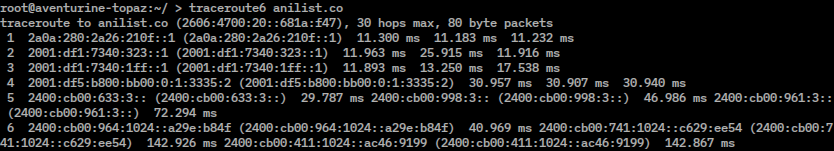 Terminal screenshot showing traceroute output on Linux.